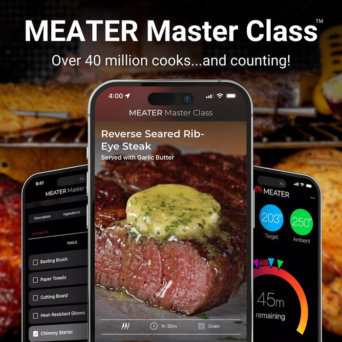 Meater 2 Plus Wireless Thermometer