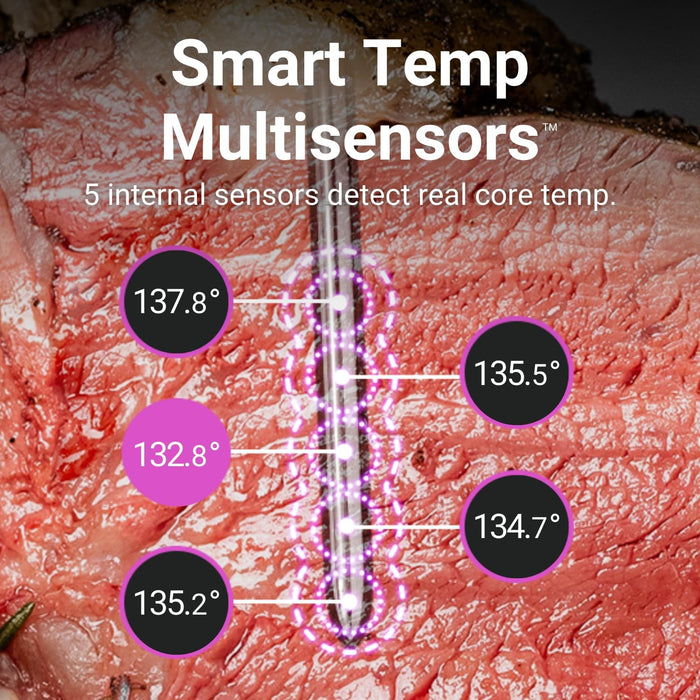 Meater 2 Plus Wireless Thermometer